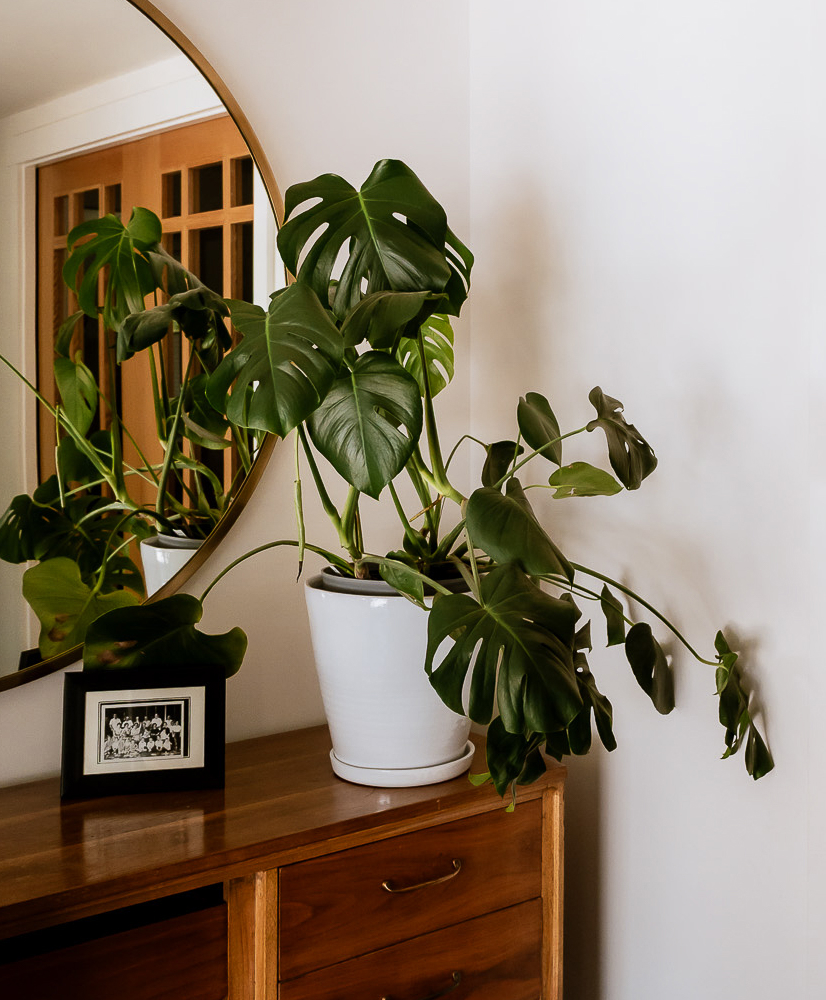 Green Remodeling